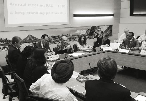03_IFIF-FAO-Annual-Meeting-2014